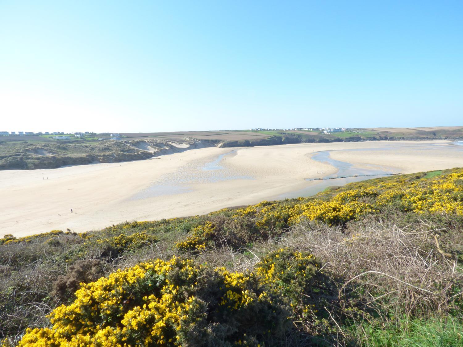 Fistral Breeze Villa New Quay Kültér fotó